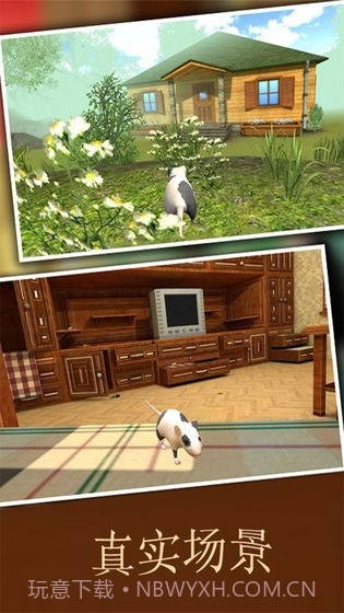 疯狂地鼠3d模拟截图4