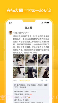 哈啰街猫截图4 哈啰街猫截图4