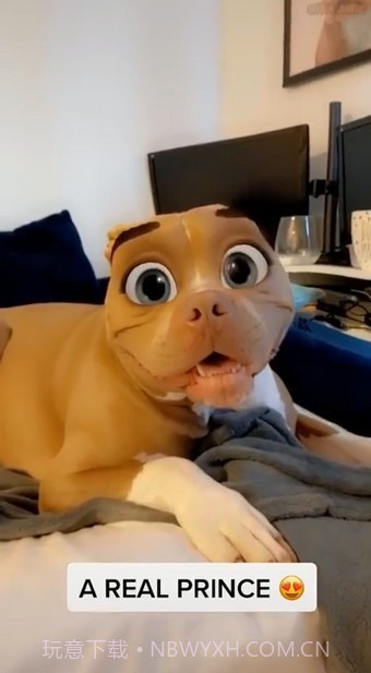 迪士尼滤镜截图1 迪士尼滤镜截图1