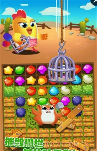 小鸡爆破消消乐3截图2
