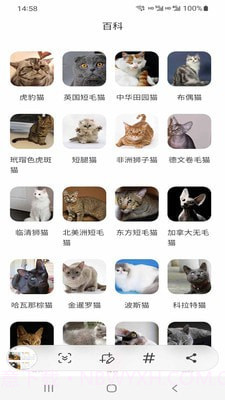 小猫先生截图1 小猫先生截图1