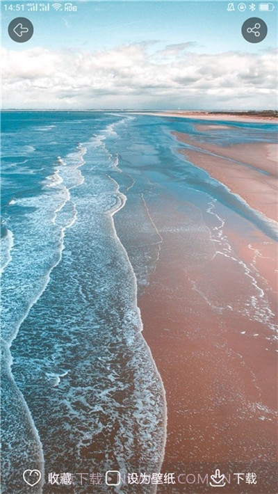 动态壁纸大全竖屏版截图2