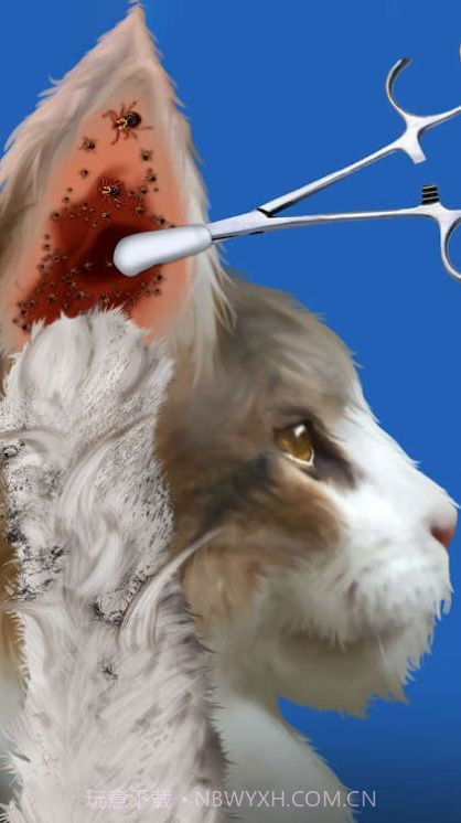 Cat Makeover截图1 Cat Makeover截图1