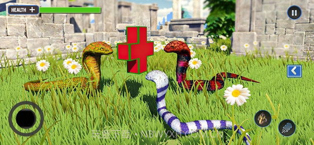 野生生命蛇模拟器截图1 野生生命蛇模拟器截图1