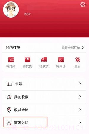 中国陨石截图2 中国陨石截图2