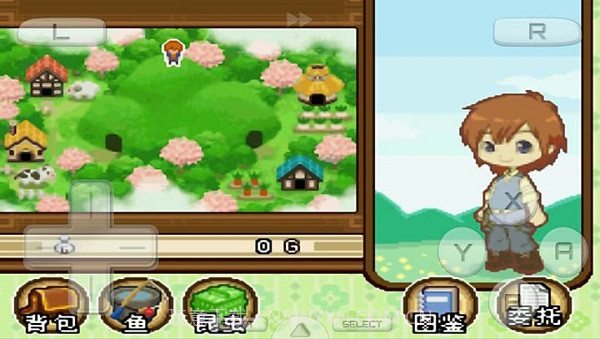 牧场物语双子村截图1 牧场物语双子村截图1