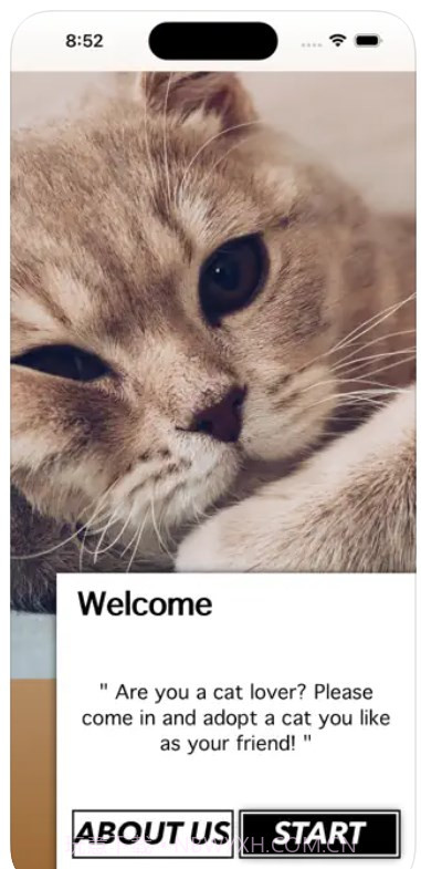 爱猫物语宠物店软件截图3