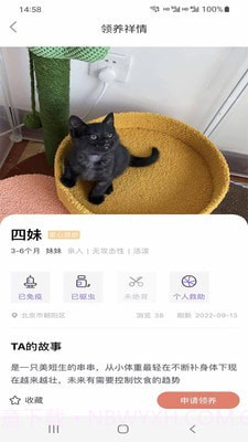 小猫先生截图2 小猫先生截图2