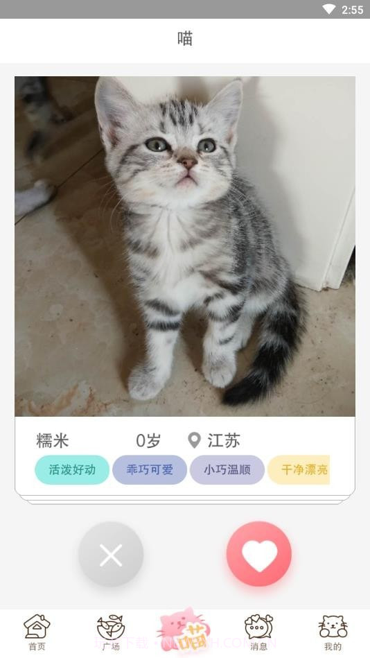 猫咪汇截图2