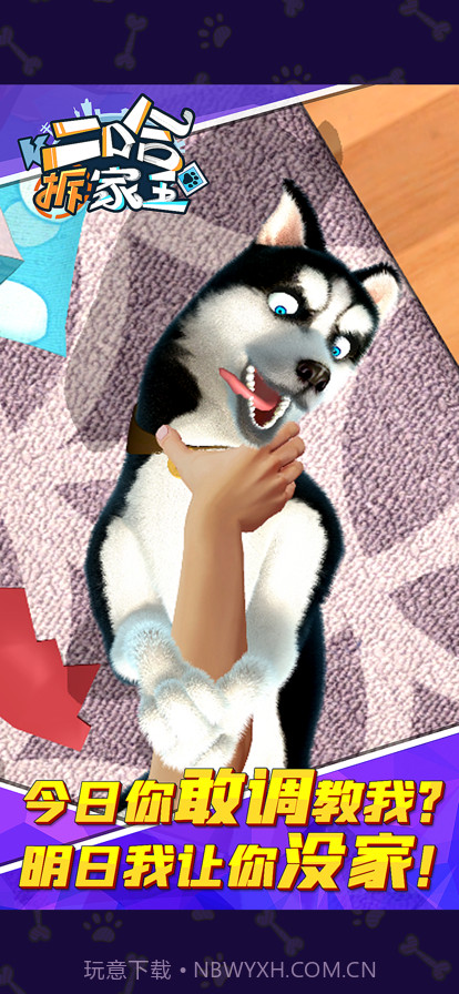 二哈拆家王截图5