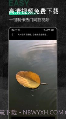 口袋今日素材截图2