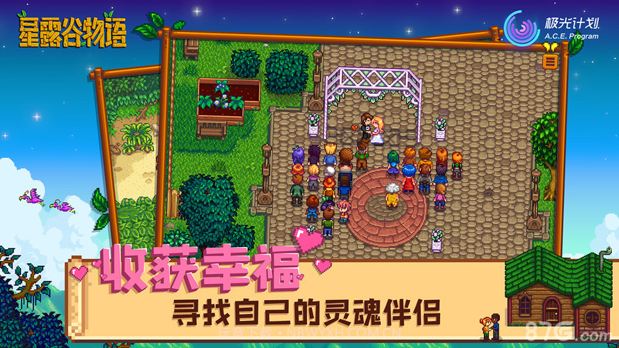 Stardew Valley截图3 Stardew Valley截图3