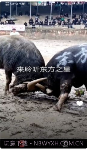 宠物趣看截图1 宠物趣看截图1