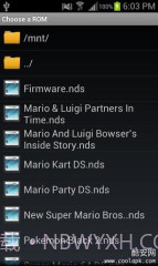 NDS模拟器:DSdroid截图1