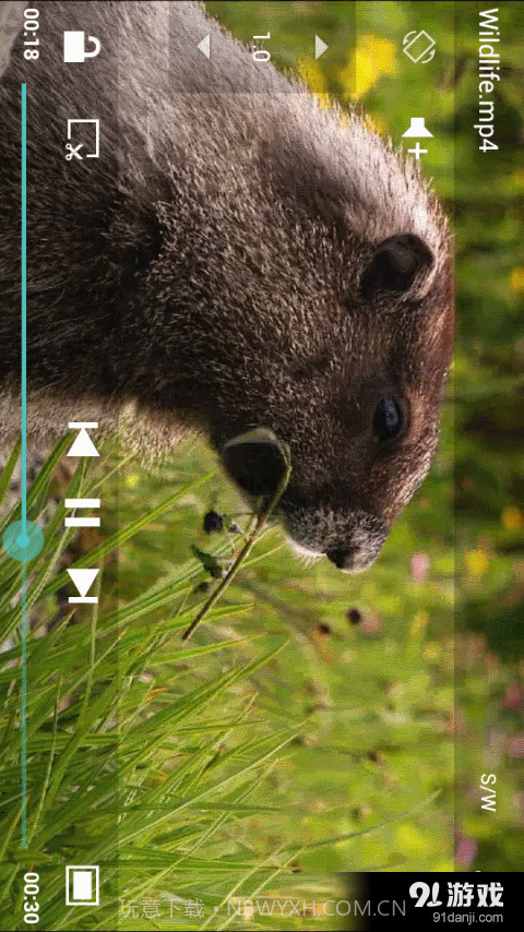 ZZPlayer正式版免费版截图5