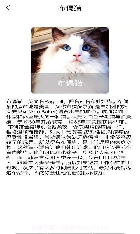 宠物知识全书截图4