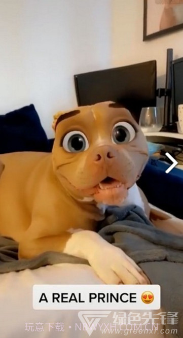 迪士尼滤镜(snapchat迪士尼滤镜)V1.1 安卓免费版截图4 迪士尼滤镜(snapchat迪士尼滤镜)V1.1 安卓免费版截图4