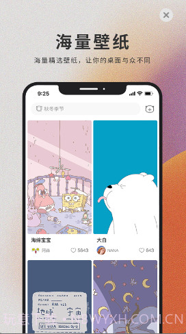 萌猫桌面壁纸截图4