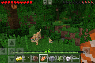 我的世界java版（Minecraft）截图2