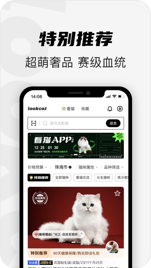 看猫截图2 看猫截图2