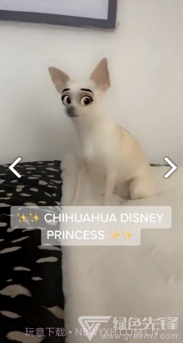 迪士尼滤镜(snapchat迪士尼滤镜)V1.1 安卓免费版截图2 迪士尼滤镜(snapchat迪士尼滤镜)V1.1 安卓免费版截图2