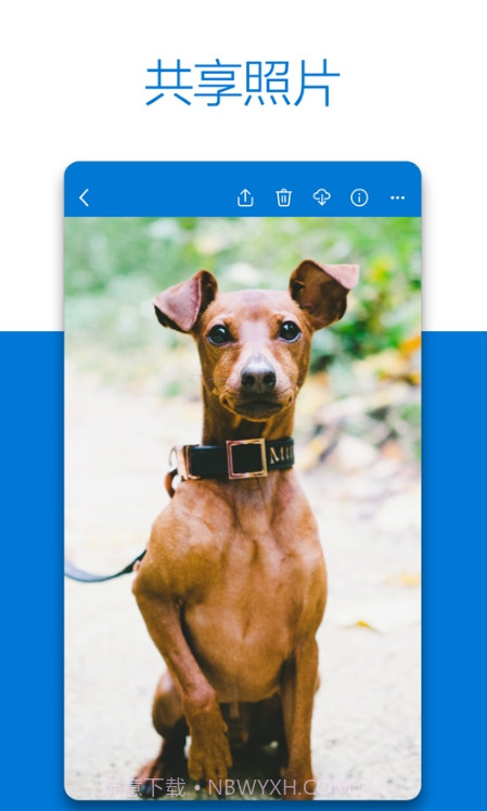 Microsoft OneDrive截图3