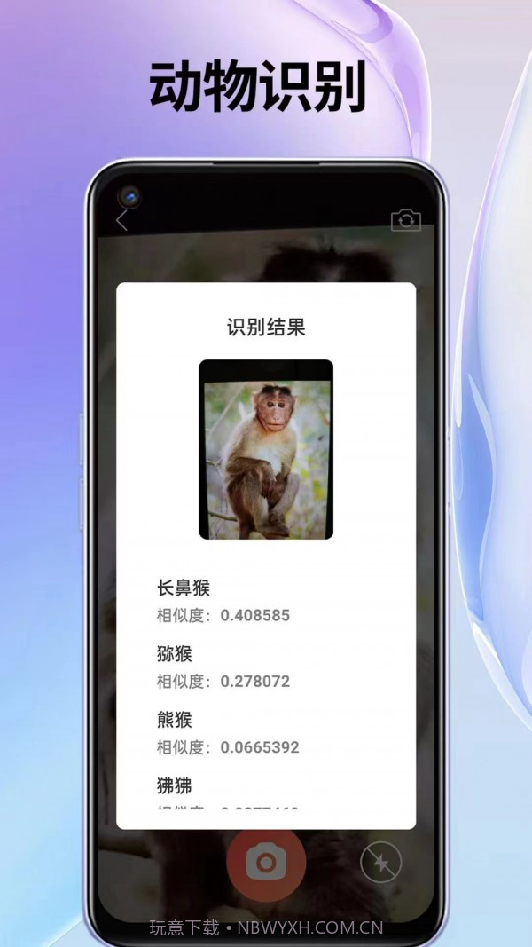 叮叮袋截图4 叮叮袋截图4