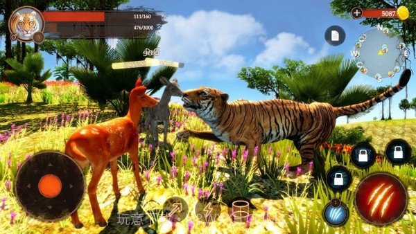 百兽之王截图2 百兽之王截图2