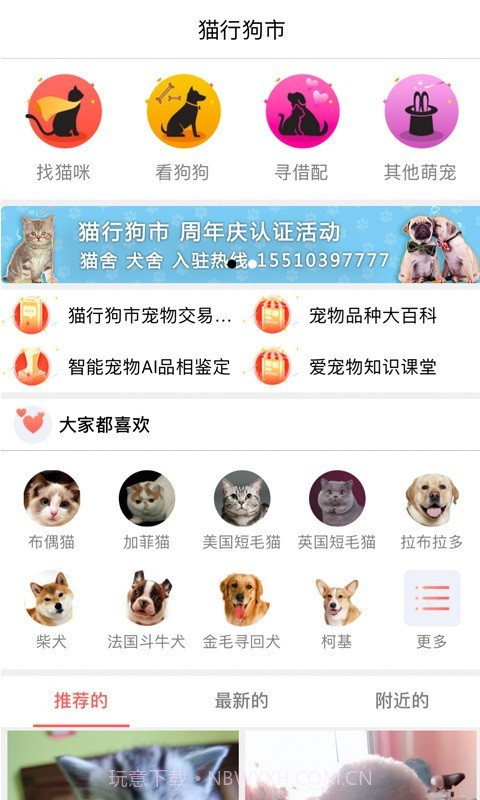 猫行狗市截图2