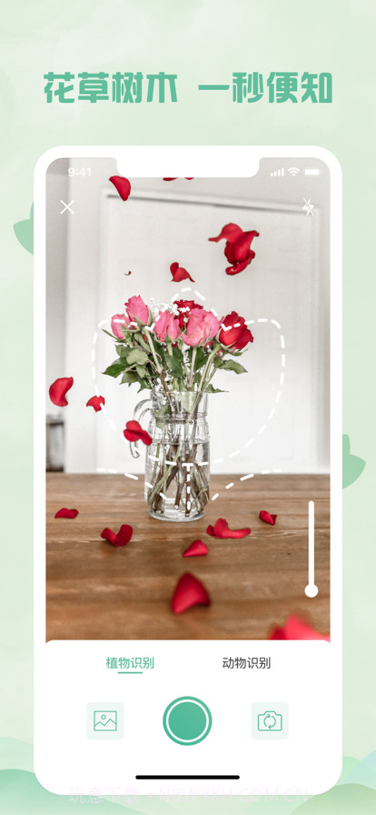 拍照识物:植物识别&拍照识花截图3