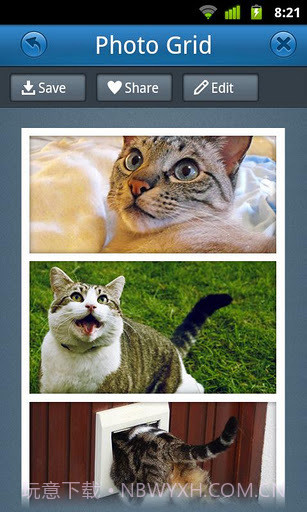 相片组合截图2 相片组合截图2