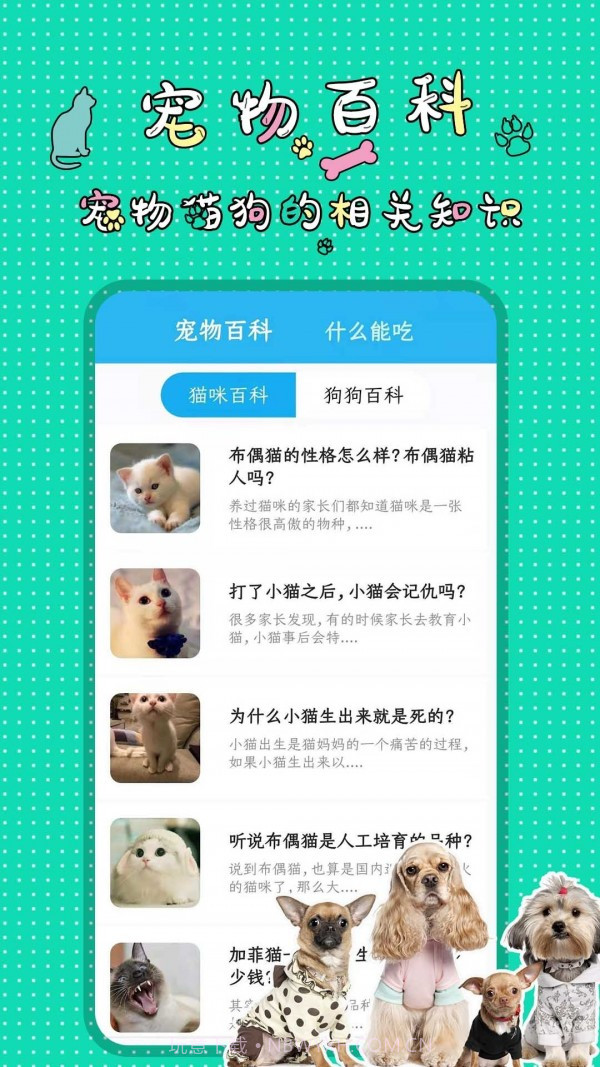 人猫人狗翻译交流器截图3 人猫人狗翻译交流器截图3
