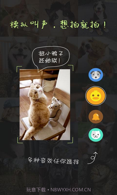 萌宠相机截图2 萌宠相机截图2