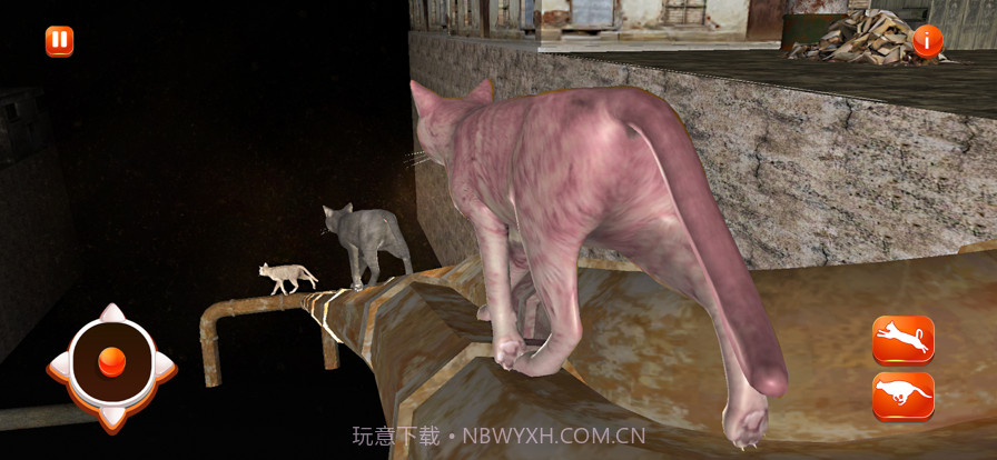 失落的猫生活城市生存截图3 失落的猫生活城市生存截图3