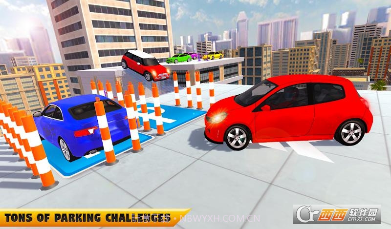 真正的停车大师截图1