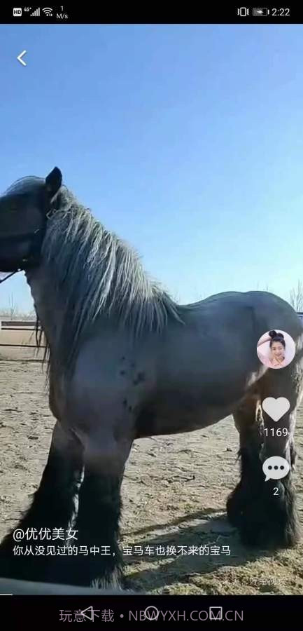 红小狗视频截图2