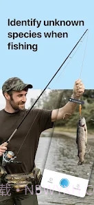 Picture Fish鱼类识别截图3 Picture Fish鱼类识别截图3