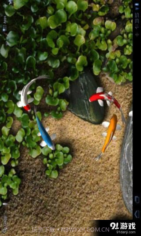 锦鲤3D动态壁纸截图2