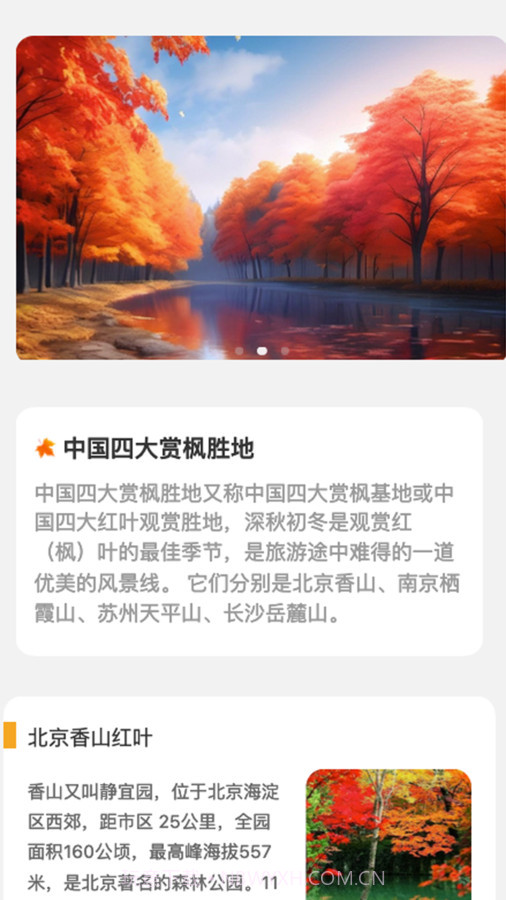 枫叶悦看截图1 枫叶悦看截图1