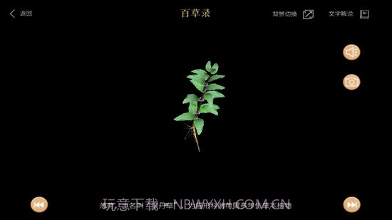 百草录截图3