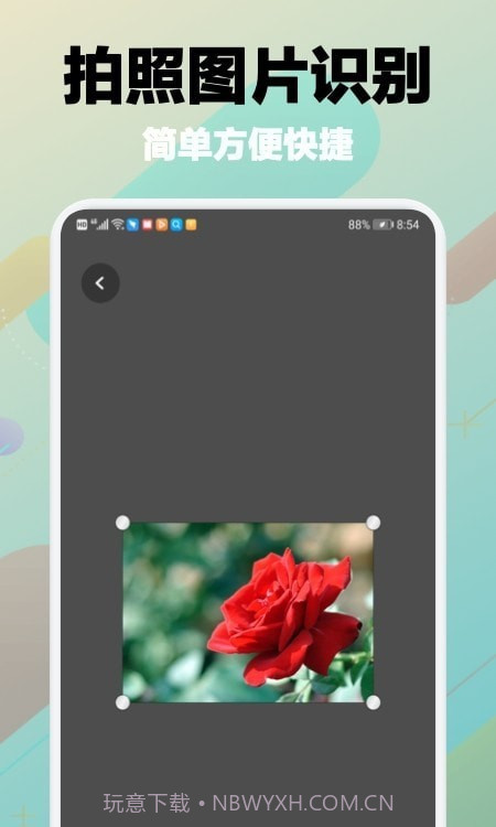 树林记忆截图1 树林记忆截图1