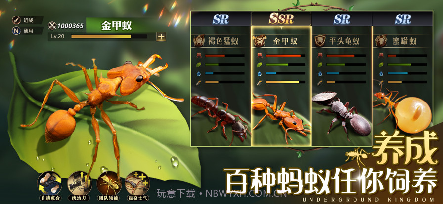 小小蚁国:真实蚂蚁世界截图3 小小蚁国:真实蚂蚁世界截图3