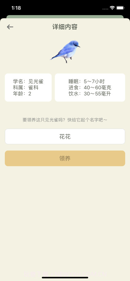 模拟养鸟截图3 模拟养鸟截图3