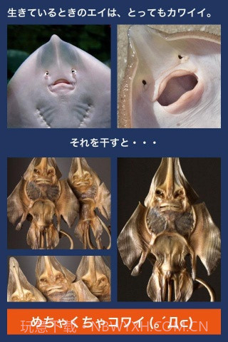 超体验晒鱼截图3