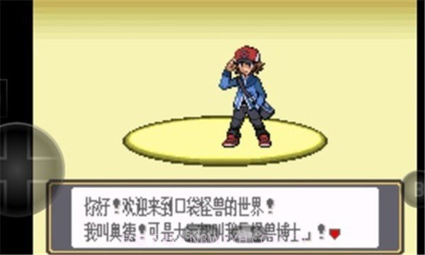 口袋妖怪黑白截图1 口袋妖怪黑白截图1