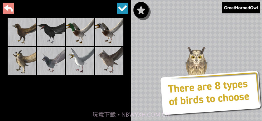 鸟类3D参考截图2 鸟类3D参考截图2