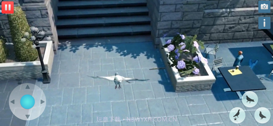 饥饿的鸽子模拟器截图5