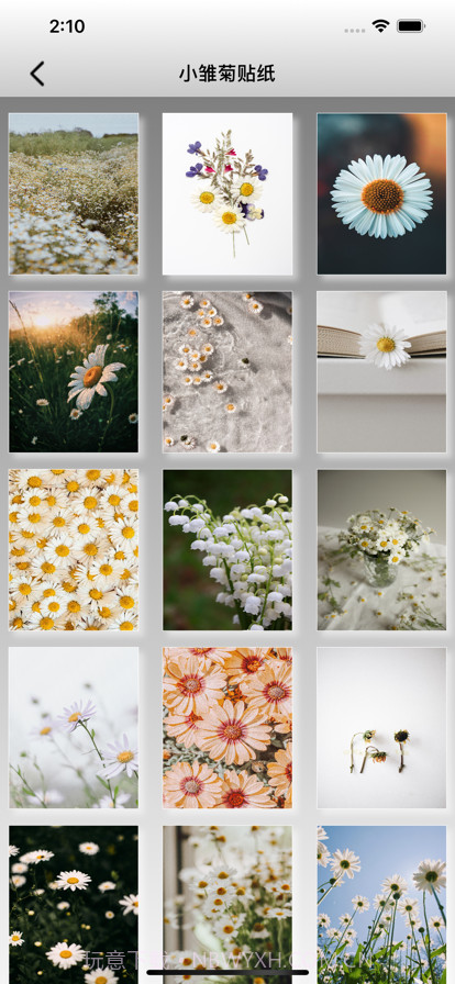 雏菊的二维世界截图1 雏菊的二维世界截图1