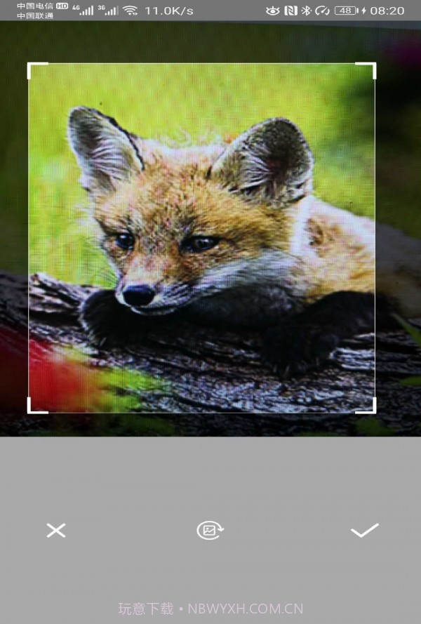 万能拍照识别截图5 万能拍照识别截图5