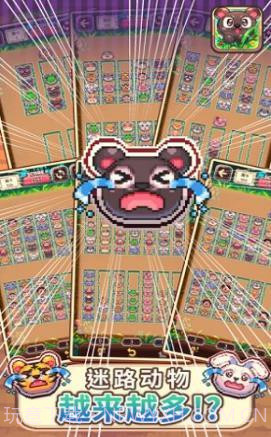 动物大风吹截图3